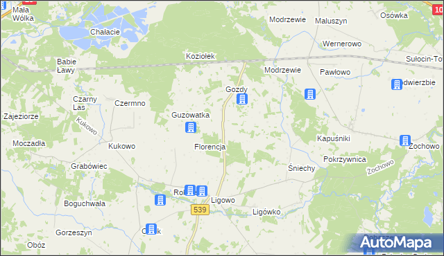 mapa Adamowo gmina Mochowo, Adamowo gmina Mochowo na mapie Targeo