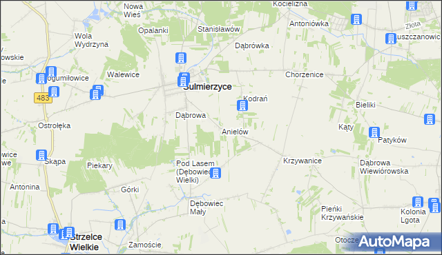 mapa Anielów gmina Sulmierzyce, Anielów gmina Sulmierzyce na mapie Targeo