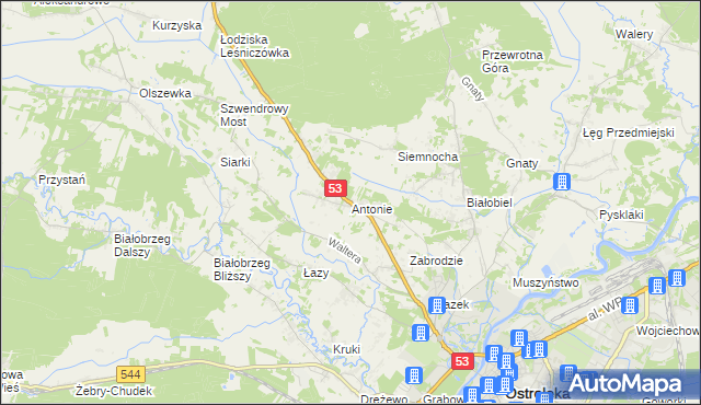 mapa Antonie gmina Olszewo-Borki, Antonie gmina Olszewo-Borki na mapie Targeo