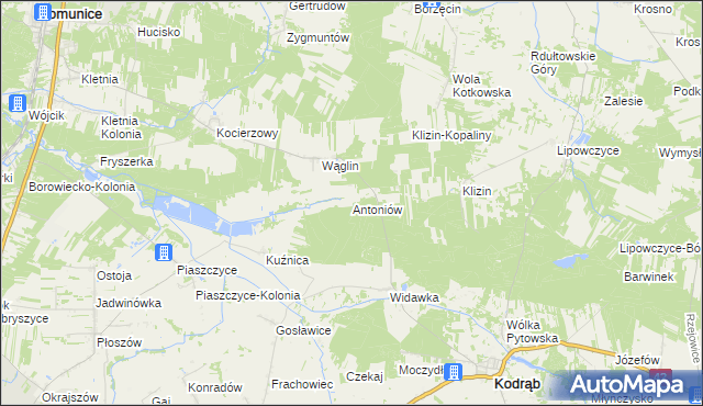 mapa Antoniów gmina Kodrąb, Antoniów gmina Kodrąb na mapie Targeo