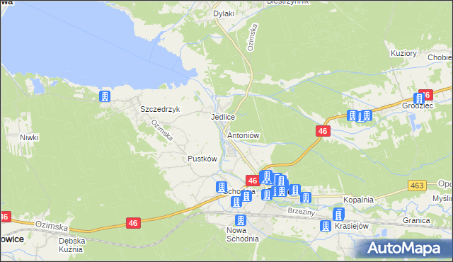 mapa Antoniów gmina Ozimek, Antoniów gmina Ozimek na mapie Targeo