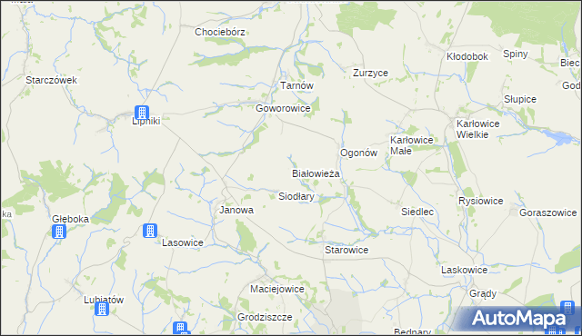 mapa Białowieża gmina Kamiennik, Białowieża gmina Kamiennik na mapie Targeo