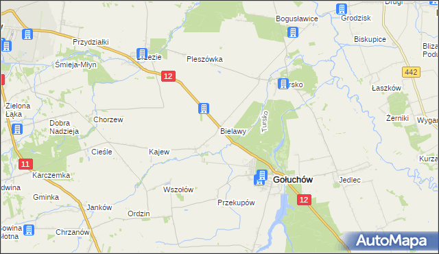 mapa Bielawy gmina Gołuchów, Bielawy gmina Gołuchów na mapie Targeo