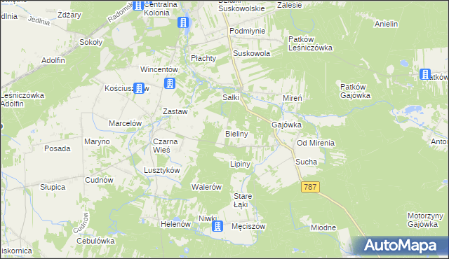 mapa Bieliny gmina Pionki, Bieliny gmina Pionki na mapie Targeo