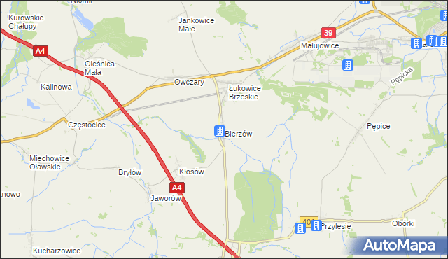 mapa Bierzów gmina Skarbimierz, Bierzów gmina Skarbimierz na mapie Targeo