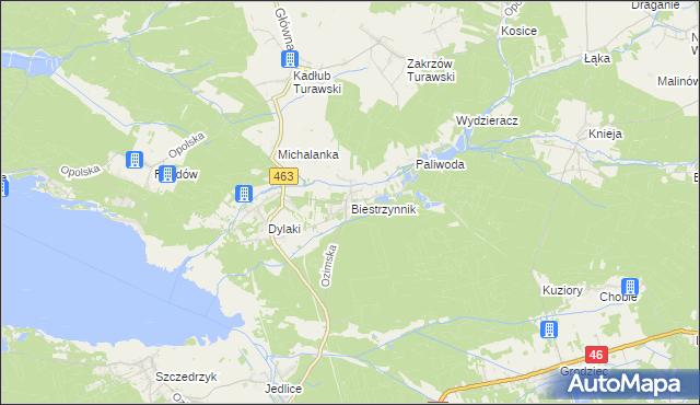 mapa Biestrzynnik, Biestrzynnik na mapie Targeo