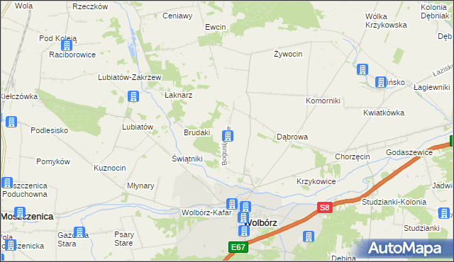mapa Bogusławice gmina Wolbórz, Bogusławice gmina Wolbórz na mapie Targeo