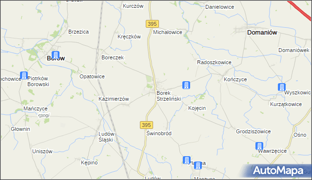 mapa Borek Strzeliński, Borek Strzeliński na mapie Targeo