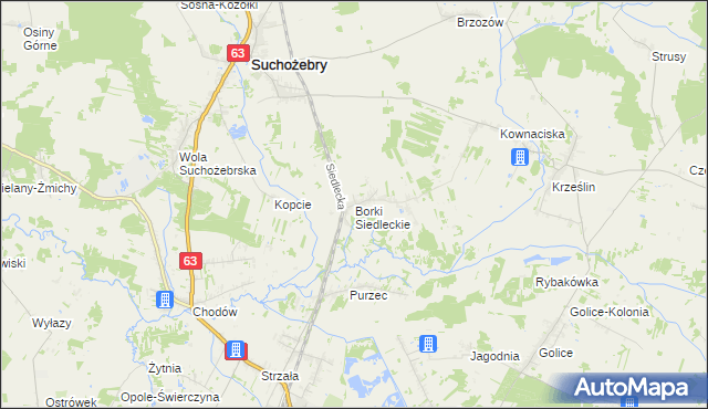 mapa Borki Siedleckie, Borki Siedleckie na mapie Targeo