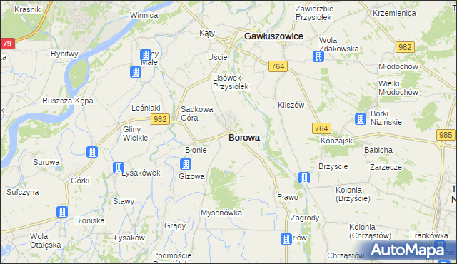mapa Borowa powiat mielecki, Borowa powiat mielecki na mapie Targeo