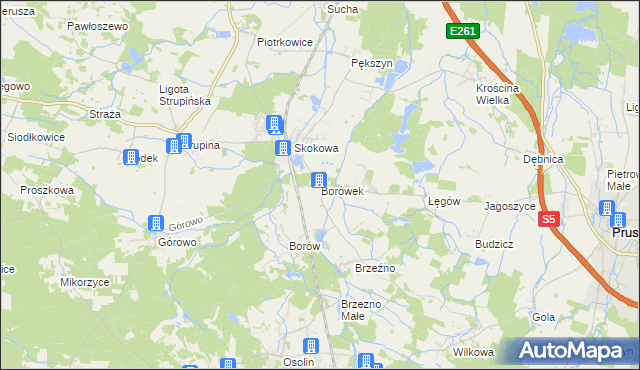 mapa Borówek gmina Prusice, Borówek gmina Prusice na mapie Targeo