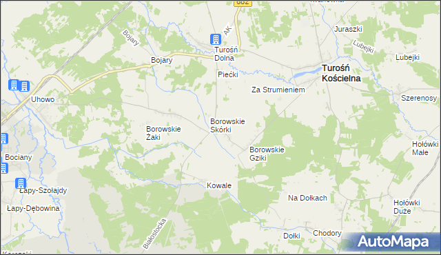 mapa Borowskie Michały, Borowskie Michały na mapie Targeo