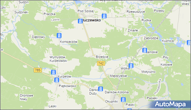 mapa Brzeście gmina Kluczewsko, Brzeście gmina Kluczewsko na mapie Targeo