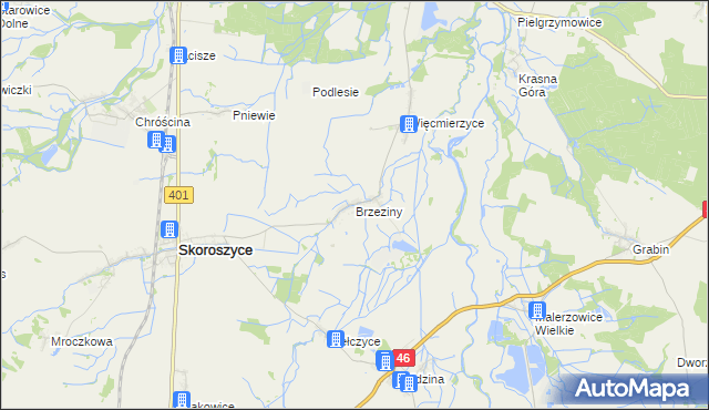 mapa Brzeziny gmina Skoroszyce, Brzeziny gmina Skoroszyce na mapie Targeo