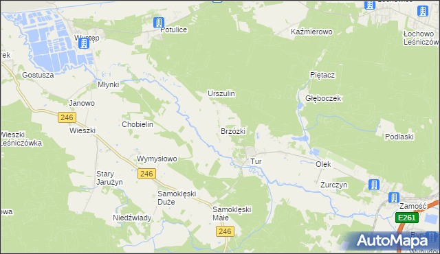 mapa Brzózki gmina Szubin, Brzózki gmina Szubin na mapie Targeo