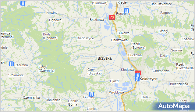 mapa Brzyska, Brzyska na mapie Targeo