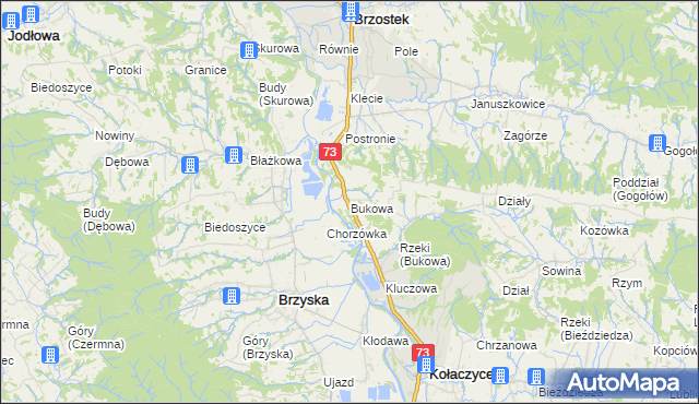 mapa Bukowa gmina Brzostek, Bukowa gmina Brzostek na mapie Targeo