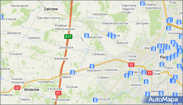 mapa Cerekiew gmina Zakrzew, Cerekiew gmina Zakrzew na mapie Targeo