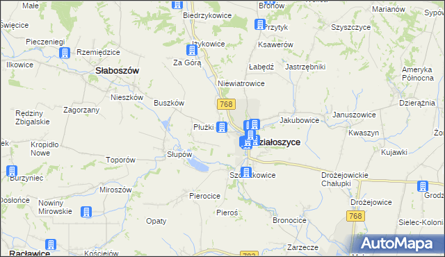 mapa Chmielów gmina Działoszyce, Chmielów gmina Działoszyce na mapie Targeo