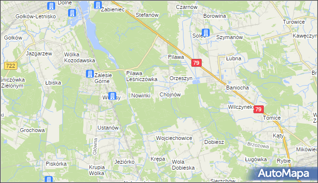 mapa Chojnów gmina Piaseczno, Chojnów gmina Piaseczno na mapie Targeo