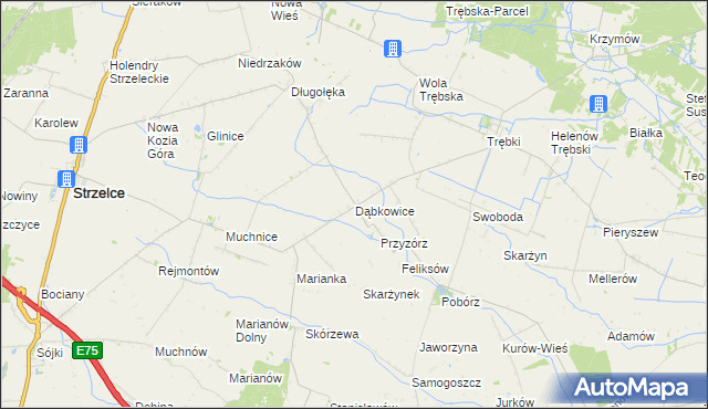 mapa Dąbkowice gmina Strzelce, Dąbkowice gmina Strzelce na mapie Targeo