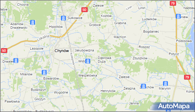 mapa Dąbrowa Duża gmina Chynów, Dąbrowa Duża gmina Chynów na mapie Targeo