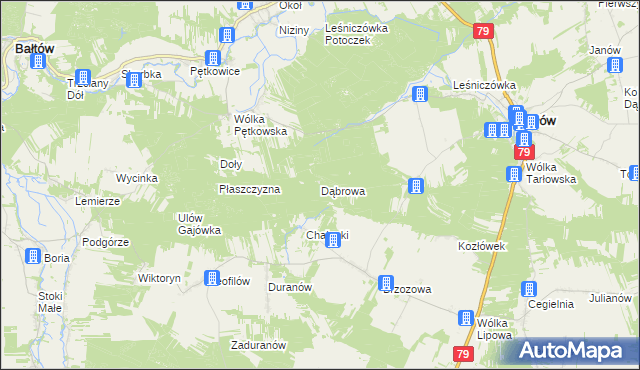 mapa Dąbrowa gmina Tarłów, Dąbrowa gmina Tarłów na mapie Targeo