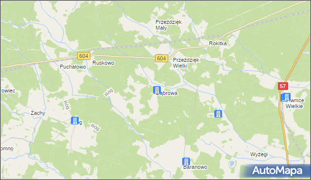 mapa Dąbrowa gmina Wielbark, Dąbrowa gmina Wielbark na mapie Targeo