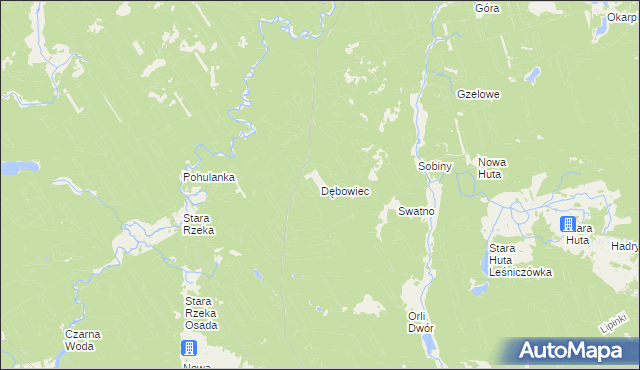 mapa Dębowiec gmina Osie, Dębowiec gmina Osie na mapie Targeo
