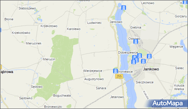 mapa Dobieszewiczki, Dobieszewiczki na mapie Targeo