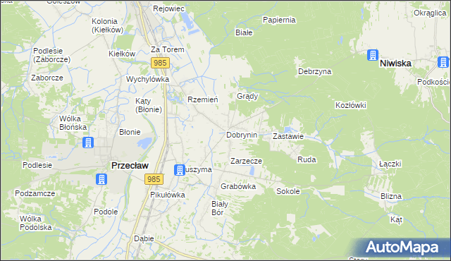 mapa Dobrynin, Dobrynin na mapie Targeo