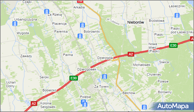 mapa Dzierzgów gmina Nieborów, Dzierzgów gmina Nieborów na mapie Targeo