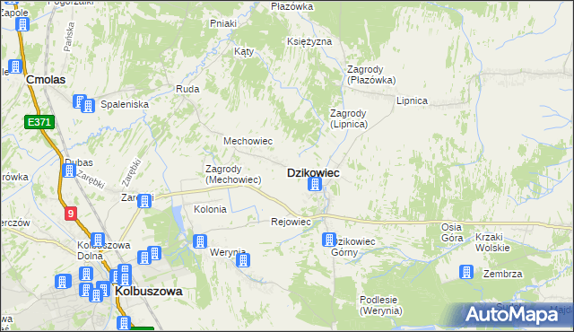 mapa Dzikowiec powiat kolbuszowski, Dzikowiec powiat kolbuszowski na mapie Targeo