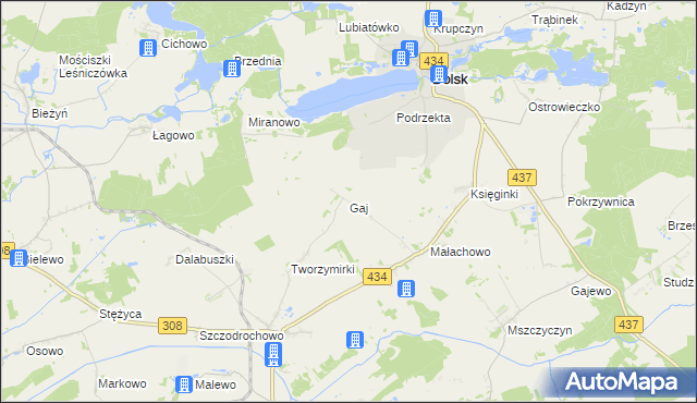 mapa Gaj gmina Gostyń, Gaj gmina Gostyń na mapie Targeo