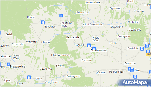 mapa Gęsina gmina Brzeźnio, Gęsina gmina Brzeźnio na mapie Targeo