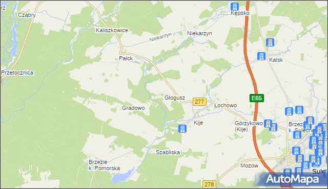 mapa Głogusz, Głogusz na mapie Targeo