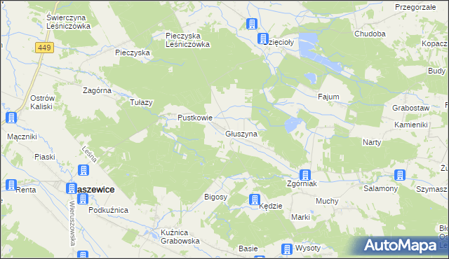 mapa Głuszyna gmina Kraszewice, Głuszyna gmina Kraszewice na mapie Targeo