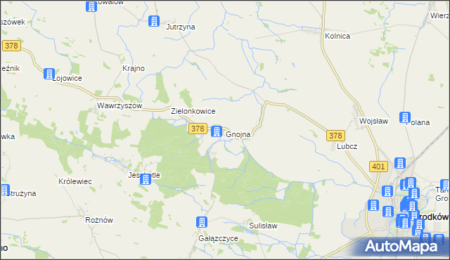 mapa Gnojna gmina Grodków, Gnojna gmina Grodków na mapie Targeo