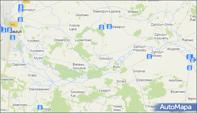 mapa Gołuszyn, Gołuszyn na mapie Targeo