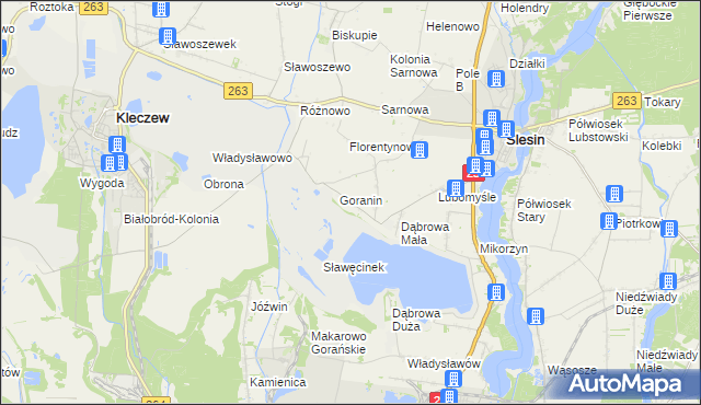 mapa Goraninek gmina Ślesin, Goraninek gmina Ślesin na mapie Targeo