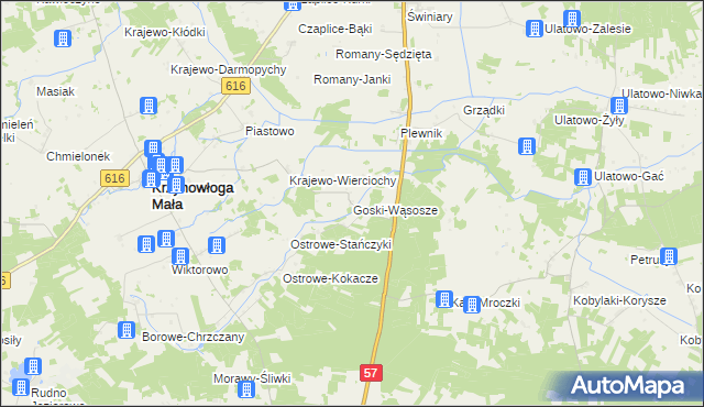 mapa Goski-Wąsosze, Goski-Wąsosze na mapie Targeo
