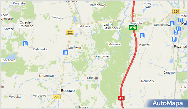 mapa Grabowiec gmina Bobowo, Grabowiec gmina Bobowo na mapie Targeo