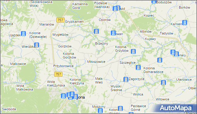 mapa Grzybów gmina Bogoria, Grzybów gmina Bogoria na mapie Targeo