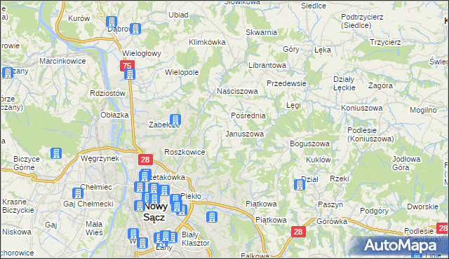 mapa Januszowa, Januszowa na mapie Targeo
