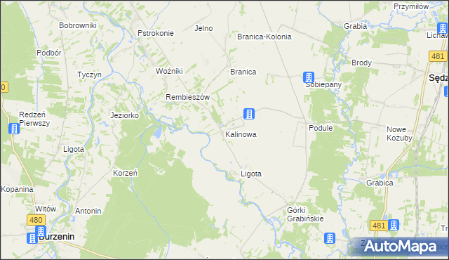 mapa Kalinowa gmina Zapolice, Kalinowa gmina Zapolice na mapie Targeo