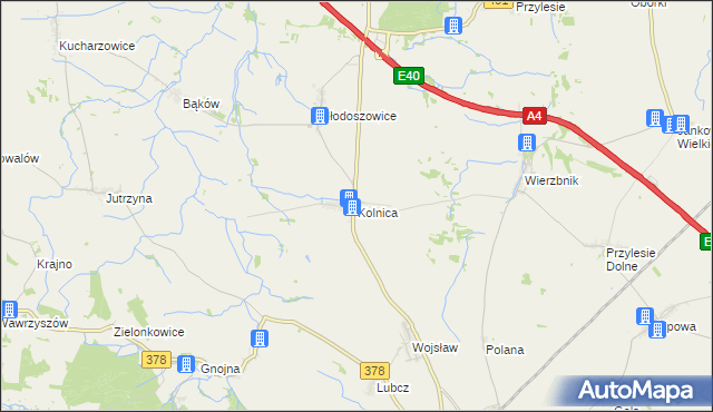 mapa Kolnica gmina Grodków, Kolnica gmina Grodków na mapie Targeo