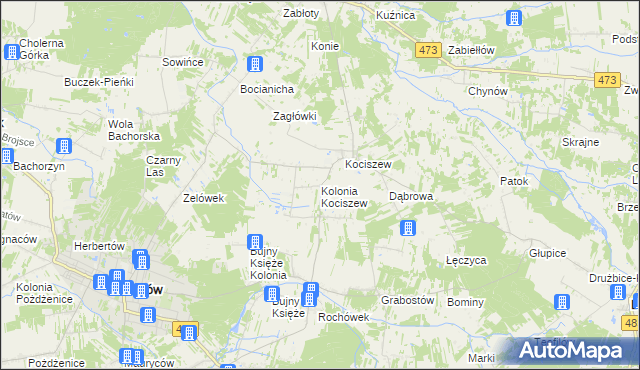 mapa Kolonia Kociszew, Kolonia Kociszew na mapie Targeo