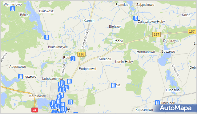 mapa Koninek gmina Pniewy, Koninek gmina Pniewy na mapie Targeo