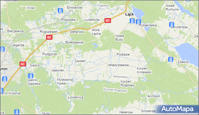 mapa Kościuszków gmina Łąck, Kościuszków gmina Łąck na mapie Targeo