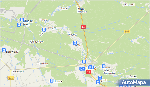 mapa Koty gmina Tworóg, Koty gmina Tworóg na mapie Targeo